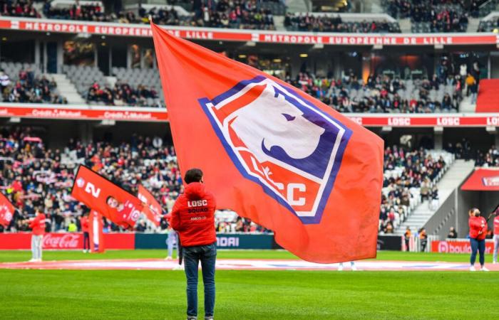 LOSC. LOSC could be sold, how much is the Lille club worth?