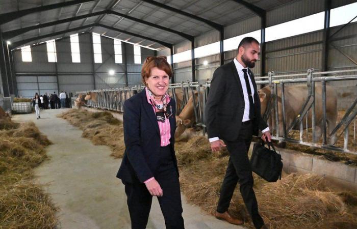 “Measurements”, “Unworthy of the breeders’ dismay”: despite the announcements, the Minister of Agriculture did not convince the Tarnais breeders