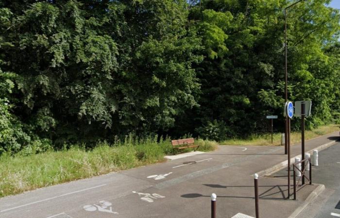 a cinerary forest planned in Seine-et-Marne