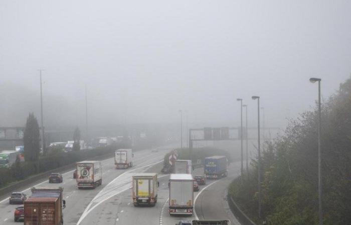 Local code yellow again for fog, limited visibility on the road