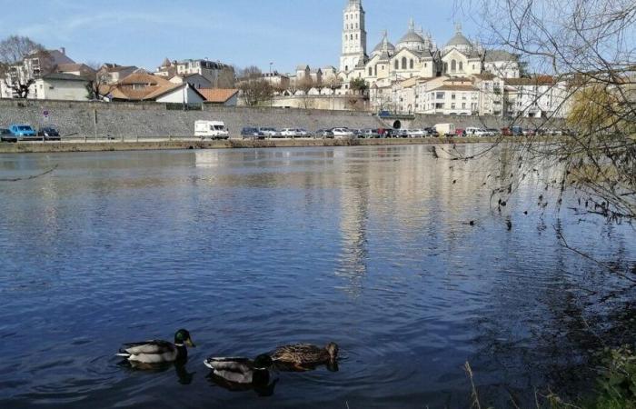 22 degrees in November in Dordogne: no broken record but remarkable temperatures