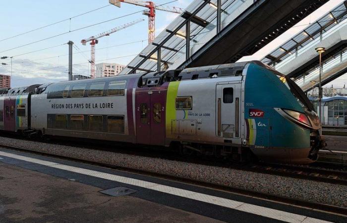 Stools, stepladders, ladders… why does the SNCF advise travelers not to board certain TER trains with these objects?