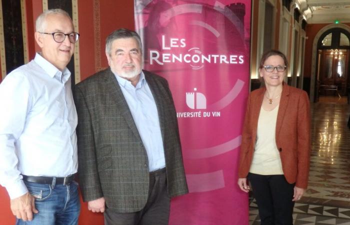 The University of Wine invites to the Sustainable Viticulture Meetings