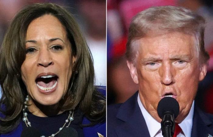 Donald Trump, Kamala Harris, who will be president of the USA?