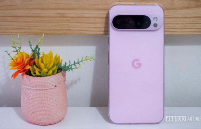 The Pixel 9 Pro XL was a top sales performer in the US