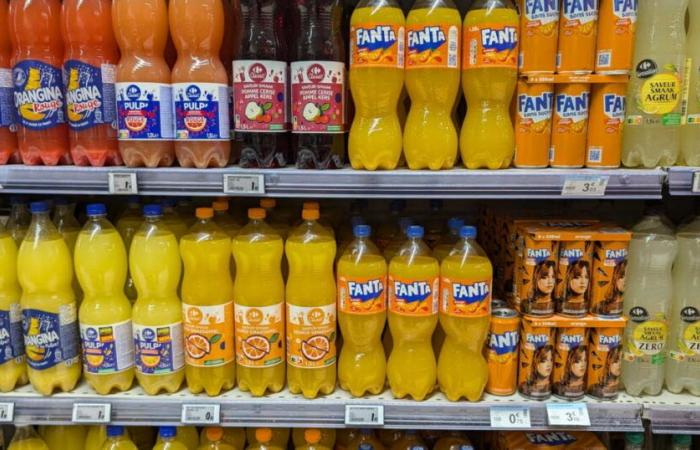 MPs adopt reform of the “soda tax”