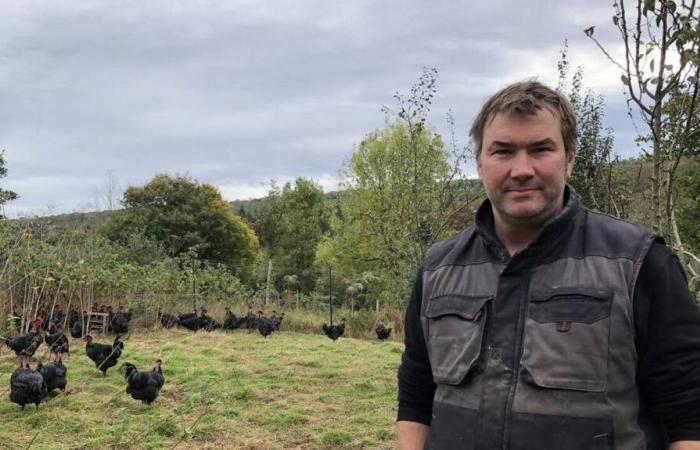 In Orne, this poultry breeder “permanently” adapts to climate change