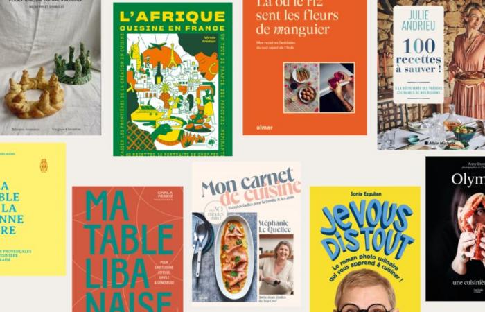 The 9 cookbooks in the running for the first edition of the 2024 Festins Féminins Prize