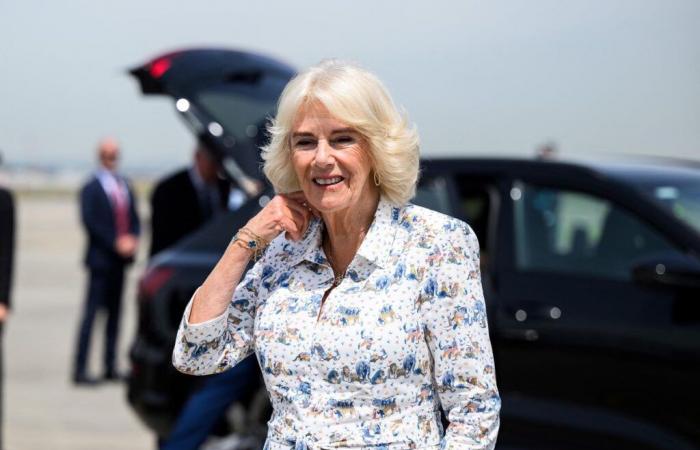 Lung infection: Queen Camilla cancels engagements