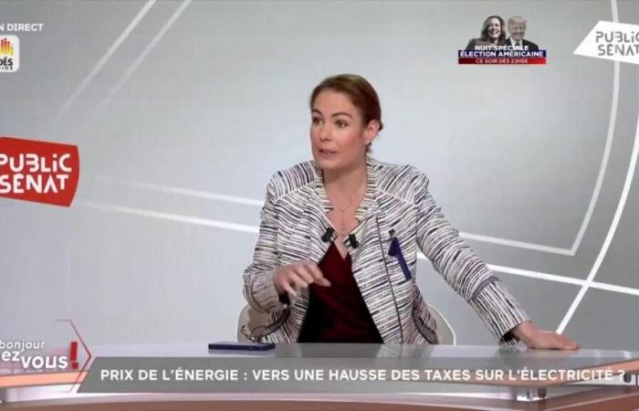 “The tariff shield is over, France can no longer afford it,” assures Olga Givernet