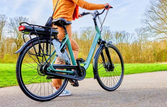 This major Dutch e-bike brand is in danger of going bankrupt