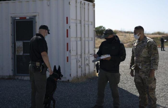 Former San Quentin K-9 officer indicted for planting contraband, ‘pretending’ to find