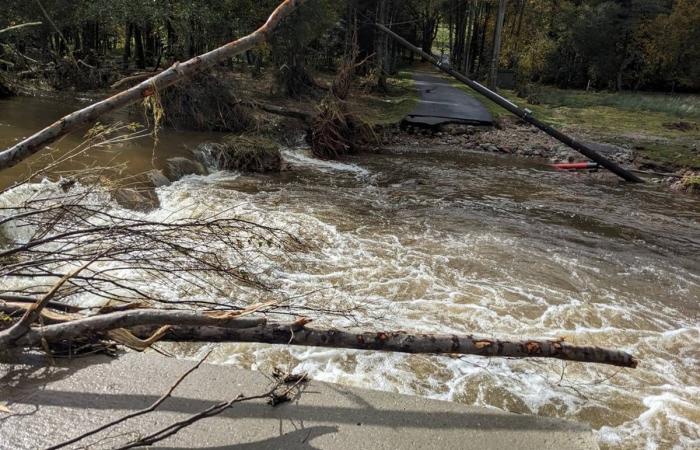 These bridges and footbridges which disappeared after the floods in Haute-Loire