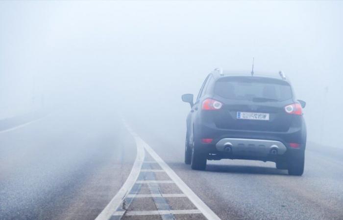 Paris plunged into thick fog, be careful on roads where visibility is reduced