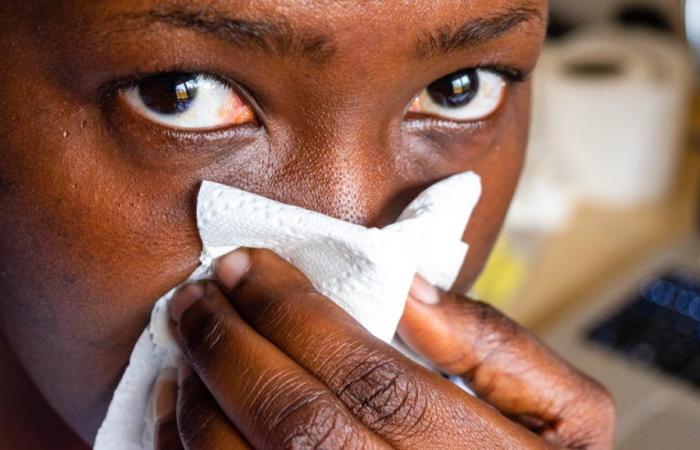 Tuberculosis once again becomes the deadliest infectious disease in the world