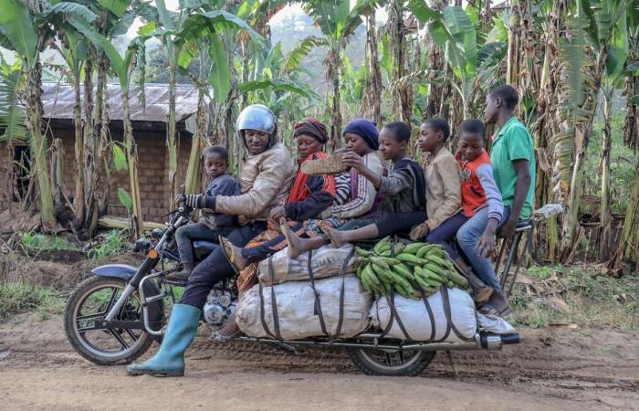 Landslide in Cameroon | Four dead, several buried