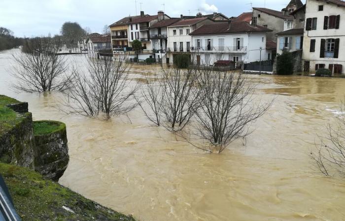 the Adour basin would like to rebuild even better