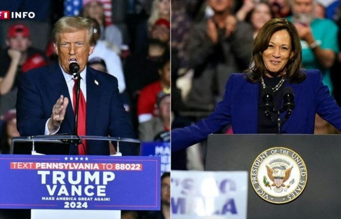 US presidential election: Donald Trump or Kamala Harris, what do the polls say on voting day?