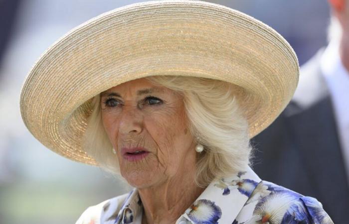 Scare at Buckingham: Queen Camilla cancels engagements due to lung infection