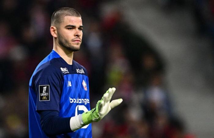 Lille-Juventus Turin: Lucas Chevalier, a new chance to shine before being called up to the Blues?