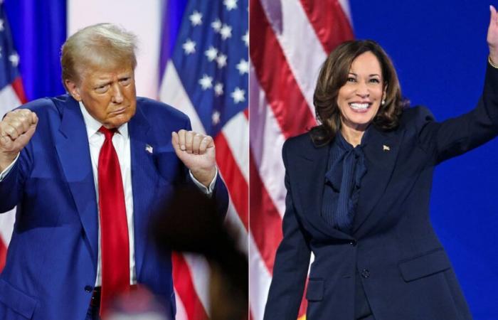 Kamala Harris or Donald Trump, historic day for the USA