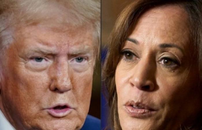 US presidential election 2024: Donald Trump is at 201 voters, Kamala Harris at 91, the results in key states will be crucial