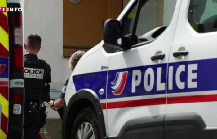 Guadeloupe: two children found decapitated, their mother arrested and hospitalized