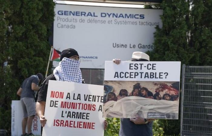 Canada must stop supporting Israel, thunders a UN rapporteur in Ottawa | Conflict in the Middle East