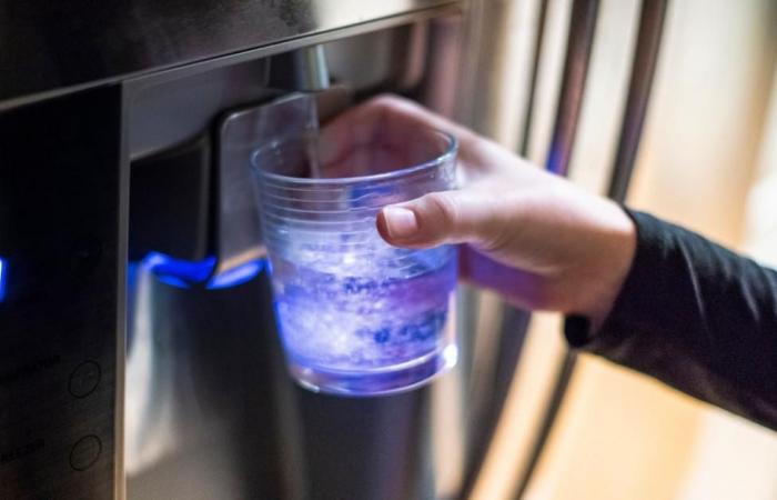 Do Fridge Filters Remove Fluoride? Fluoride Myths Explained