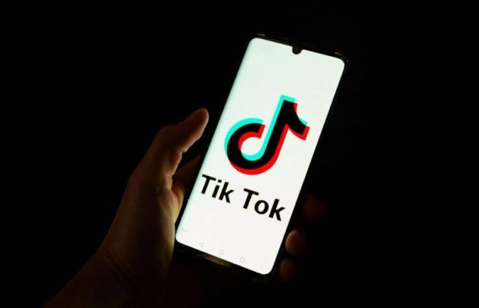 Harmful content: TikTok sued after the death of two teenagers in France