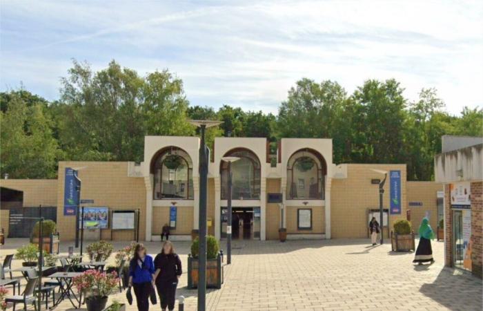 four injured including two serious at Ozoir-la-Ferrière station