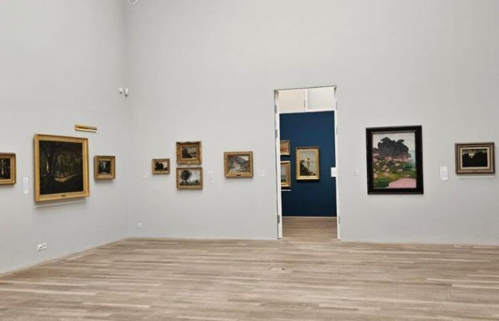 Radio Chablais – The Jenisch Museum in Vevey unveils its new exhibitions