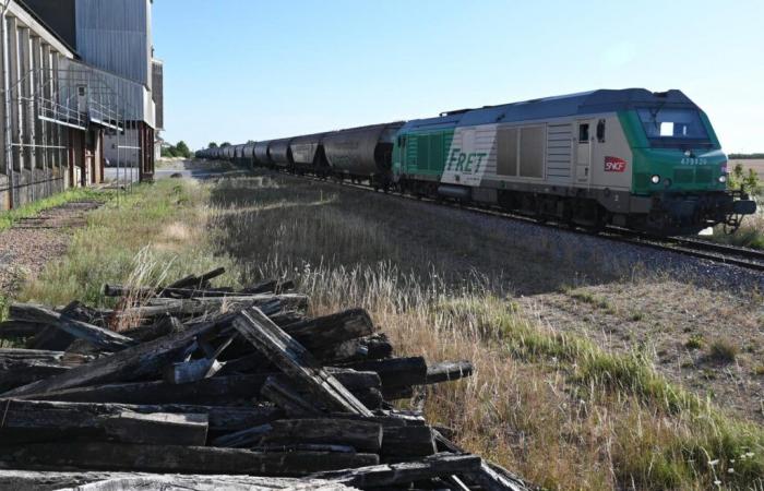 “The consequences on the development of rail freight of this slimming treatment imposed on the main player in the French market will need to be scrutinized”