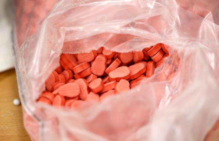 Isère: nearly a ton of ecstasy seized by customs south of Lyon in Reventin-Vaugris