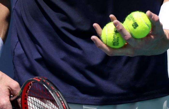 Moselle Open Betting Odds and Match Previews for Nov. 5, 2024, Men’s Singles