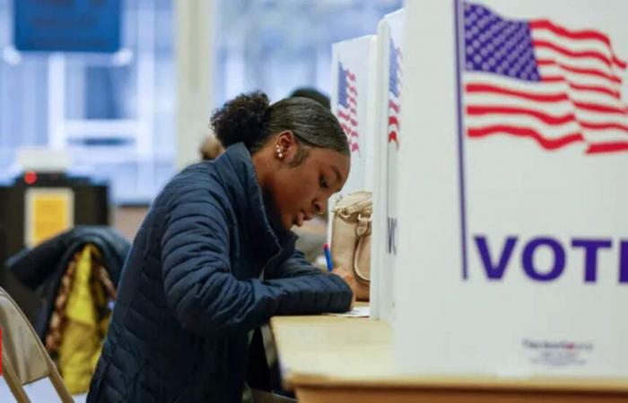 US elections 2024: Why 7 ‘purple states’ hold key to White House