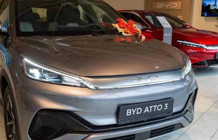 BYD: sales are simmering in France, at the cost of a very aggressive strategy