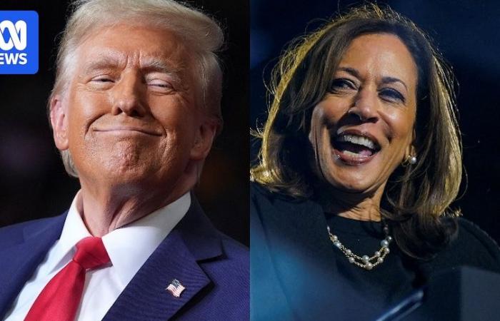 Kamala Harris vs Donald Trump race reaches climax in US election campaign increasingly marked by fear and vitriol