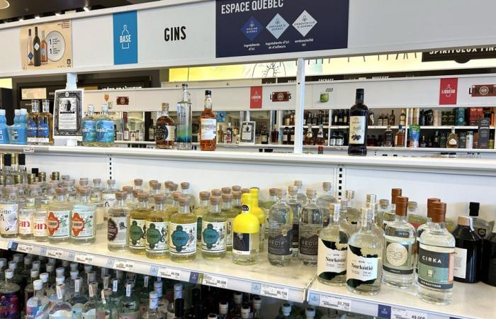 SAQ | Cleaning up the Quebec gin aisle