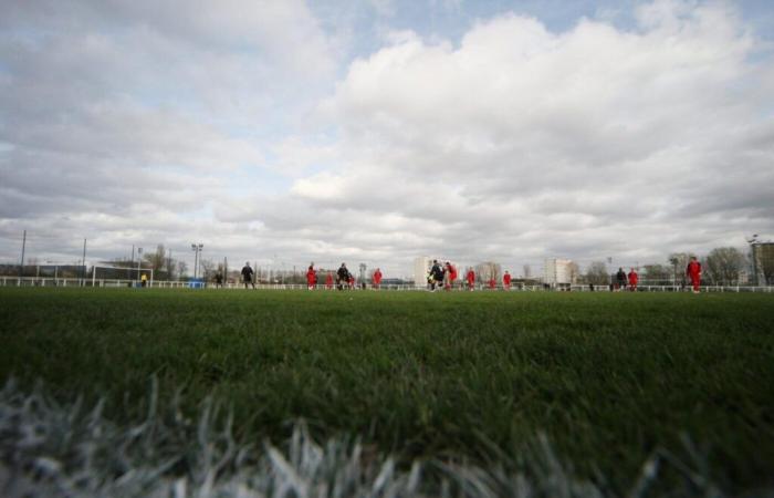 No amateur match in Haute-Garonne and Occitanie this weekend – Amateur football