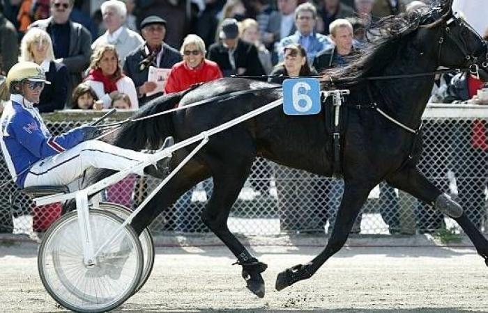 Quinté at Paris Vincennes on Tuesday November 5: Hervé Fortin's predictions