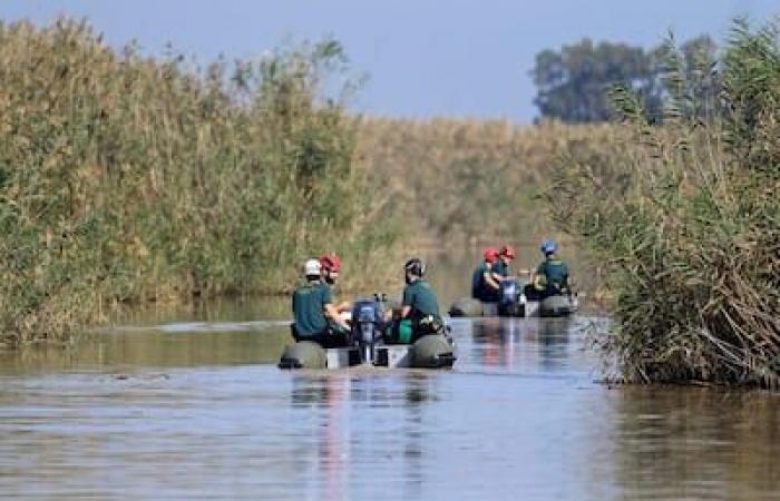 Floods in Spain: at least 219 dead, Sánchez unveils vast aid plan