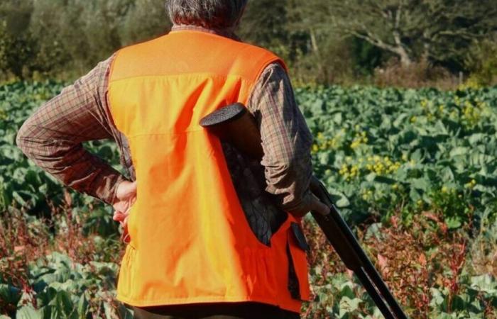 a walker amputated after being the victim of an accidental shooting by a hunter