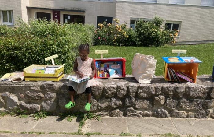 This bookstore in Eure is leading an action to offer a book to Secours populaire children