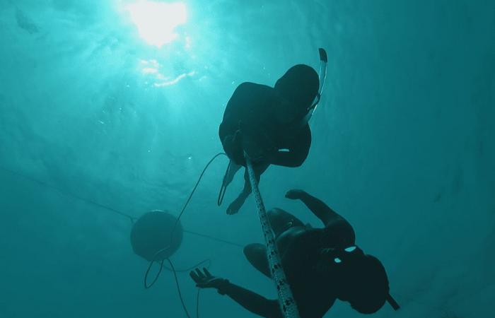 Discover the world of silence and freediving with champion Guillaume Néry