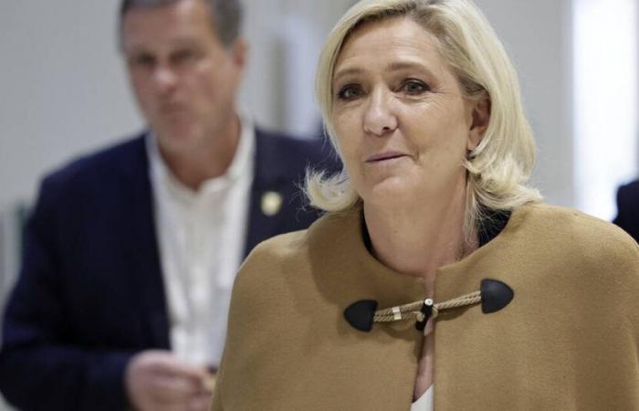 At the trial of the fictitious RN assistants, the last song of Marine Le Pen – Libération