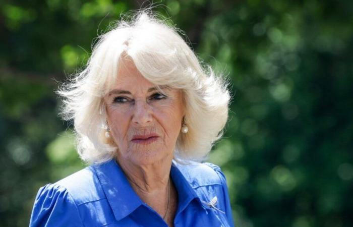 Queen Camilla cancels engagements due to lung infection