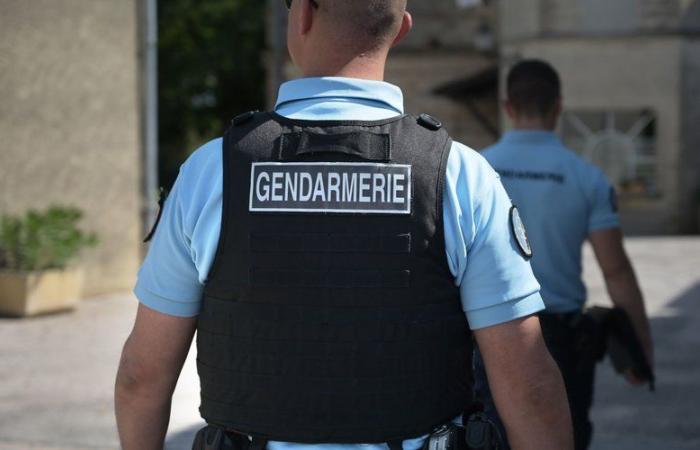 Ariège: a 25-year-old young woman found in Orgeix, tied up in a field after being raped