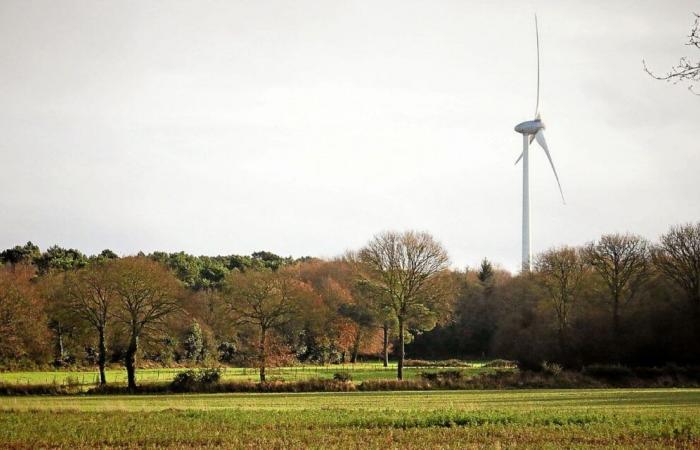 Pesticides, hunting, pre-emption… What could change with the Landes de La Poterie nature reserve