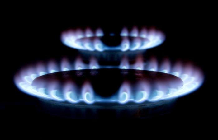 Natural gas: Europe still has security of supply problems